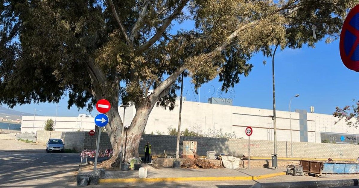 Una reapertura gradual y necesaria