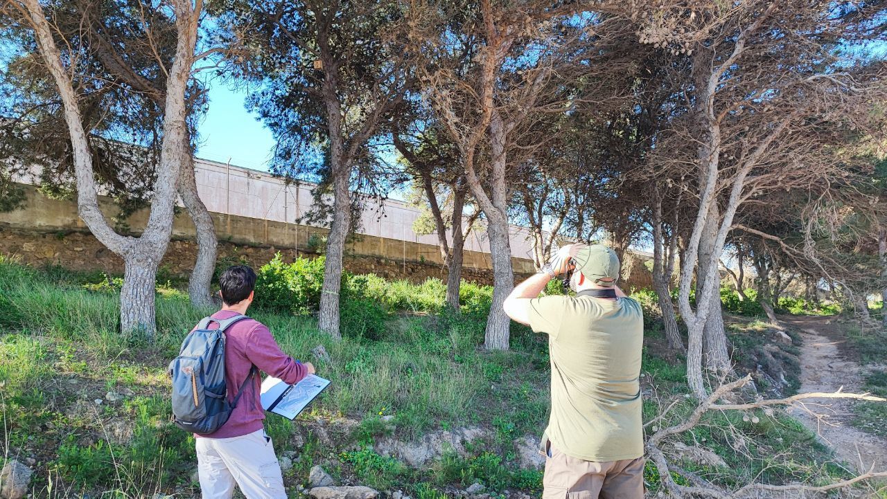 SEO Birdlife revisa las cajas nido de los pinares: hay ocho desaparecidas