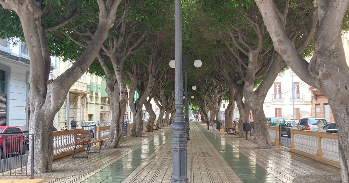 Guelaya cree que es un "disparate" que los árboles de General Aizpuru den sombra a los coches