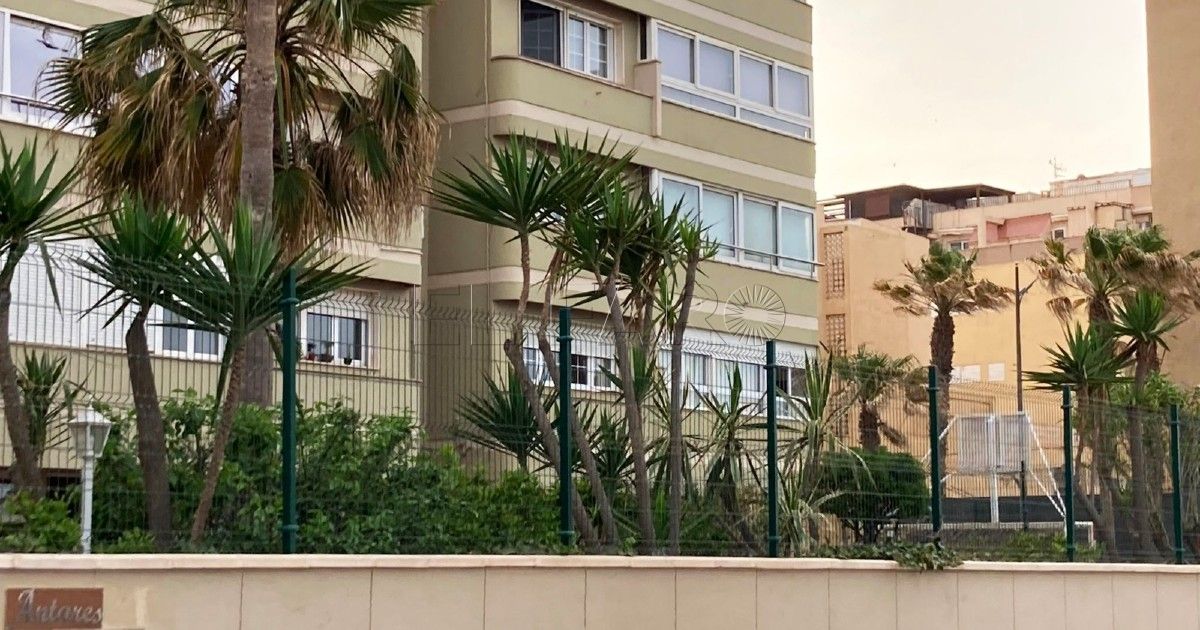 Guelaya llama a concentrarse este sábado para defender el área verde de un edificio del Paseo Marítimo