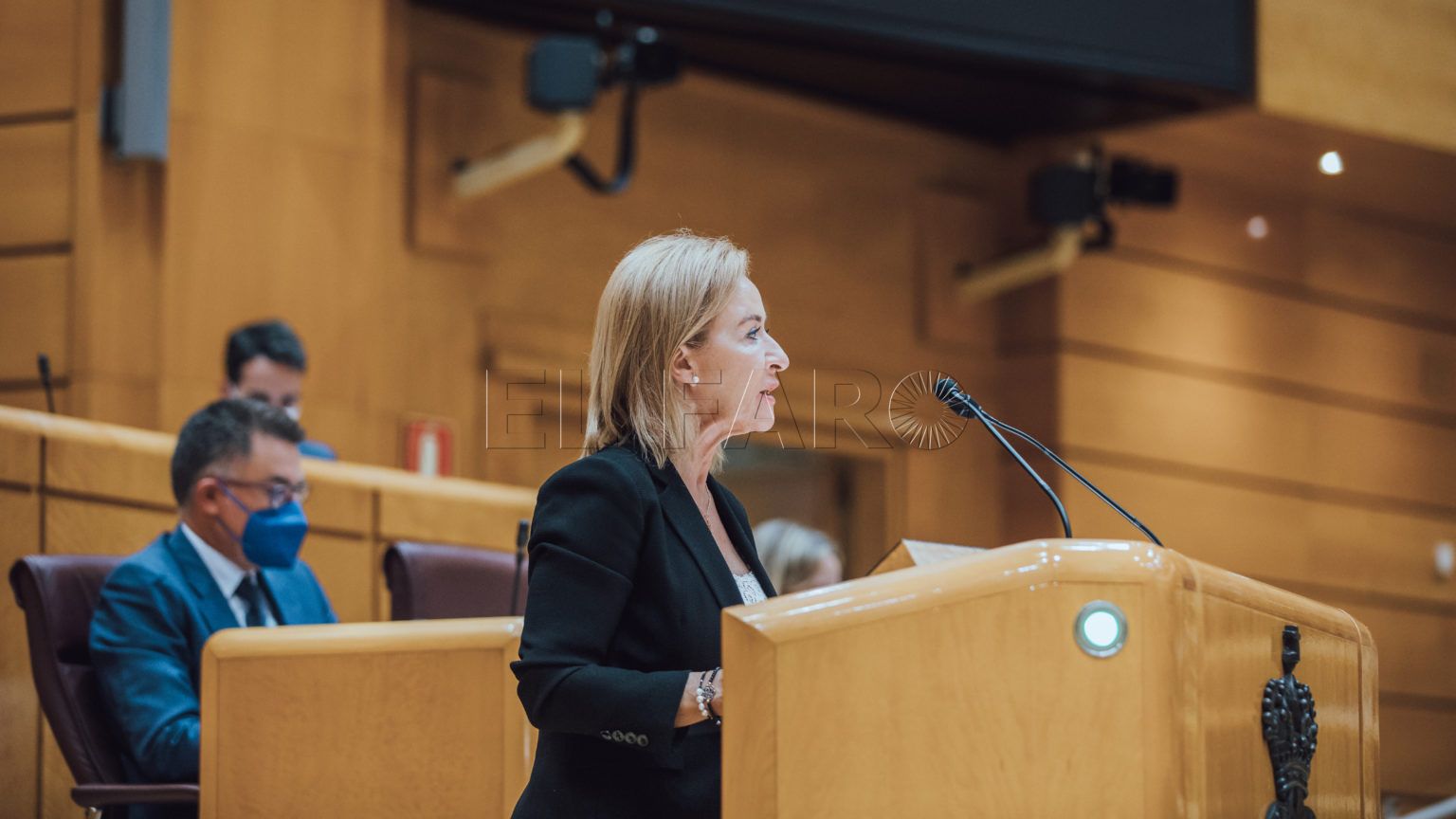 Vox critica al PP por "pecar de los mismos vicios que el PSOE"