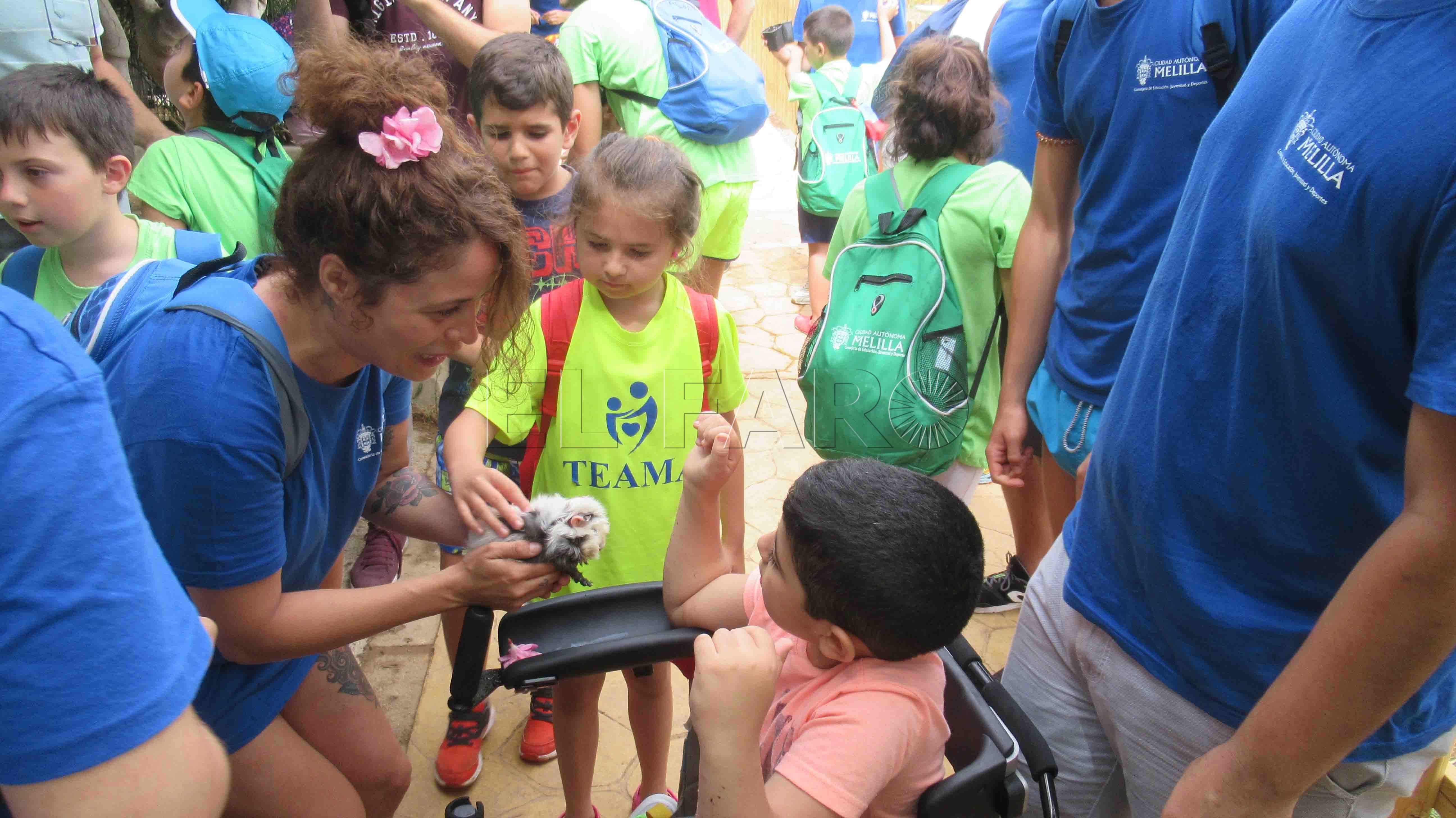 Profesionales del INGESA analizan el trastorno del espectro autista en adolescencia y juventud