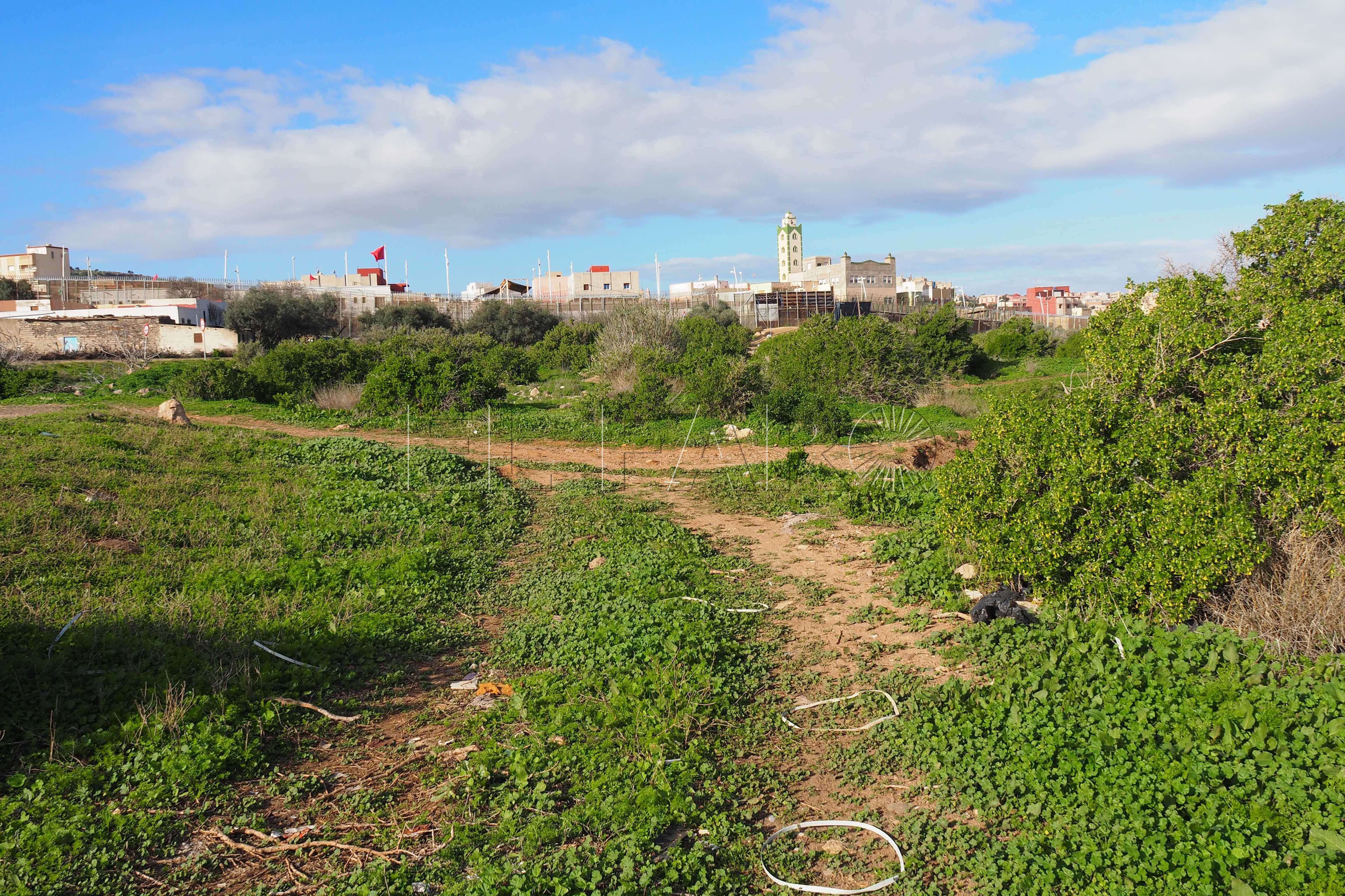 Se cae el proyecto del parque acuático en Melilla