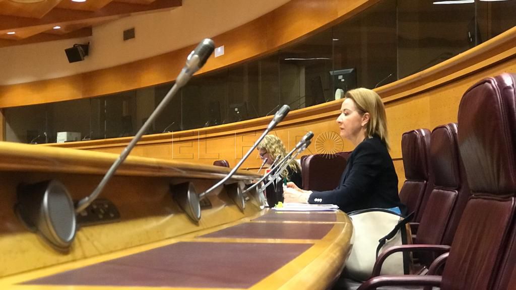 Vox alerta: “Los perímetros fronterizos no son impermeables y hay que reforzarlos”