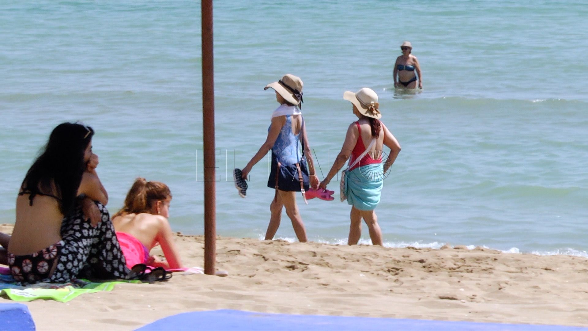 El Gobierno destina 100.000 euros a Melilla para la protección de la biodiversidad marina