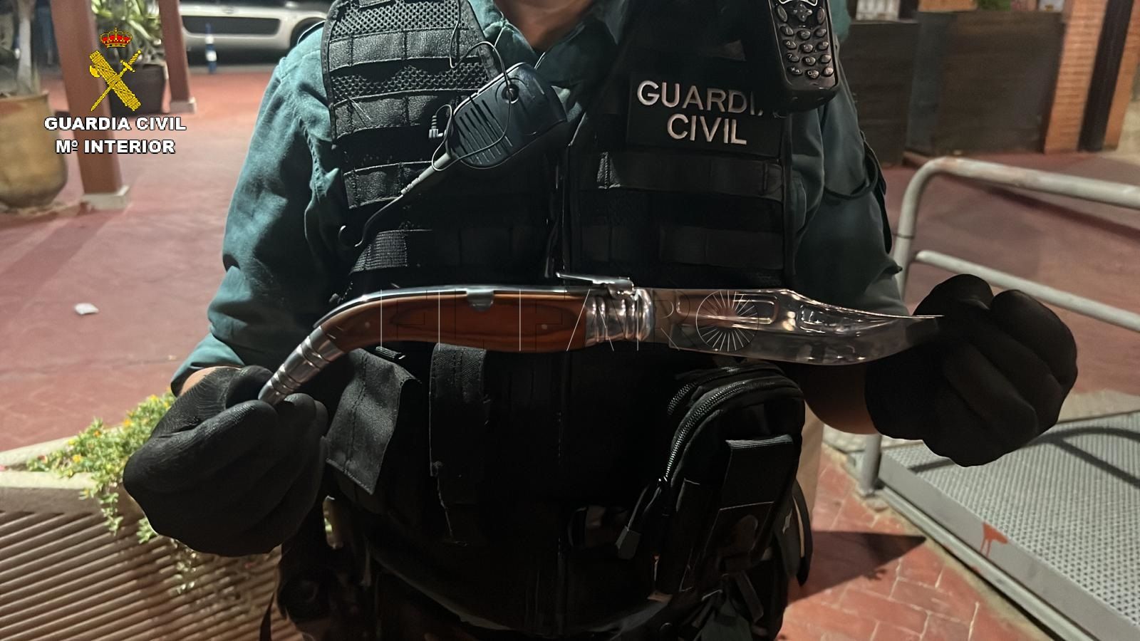 Arrestado en Puerto Noray por dañar el mobiliario y arrancar un arbusto de un macetero