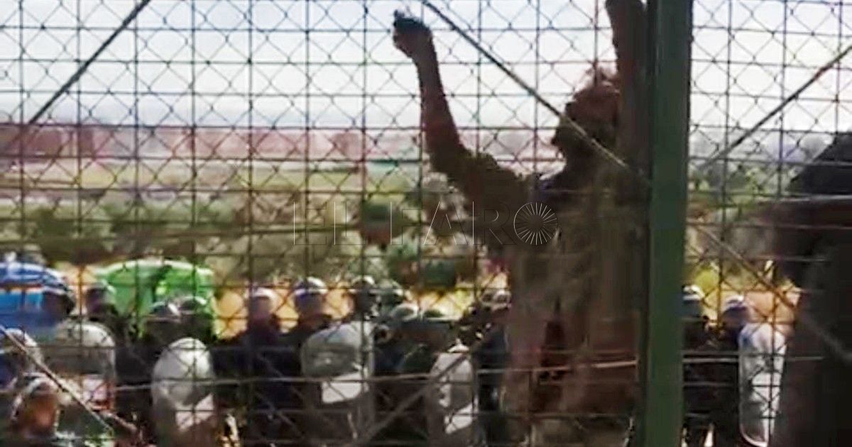 Ecologistas condenan los sucesos del 24J en la valla de Melilla