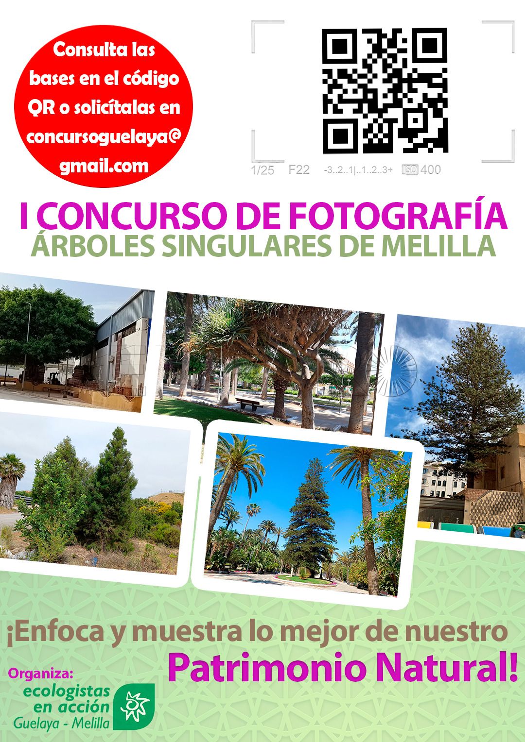 I Concurso Fotográfico sobre Árboles Singulares de Melilla