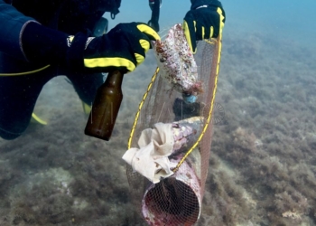 Fundación Sacyr y la Asociación Melillense de Submarinismo firman un acuerdo para promover la limpieza de fondos marinos