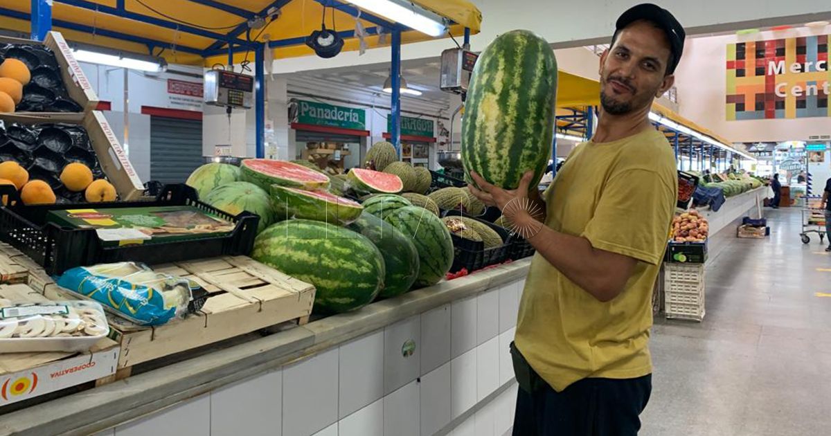 Rafael: "Me ha costado un trozo de sandía 3,30 euros y el año pasado podría costar mucho menos de la mitad"