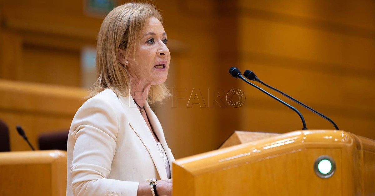 Vox exige al Gobierno la protección absoluta de las vallas de Melilla y de Ceuta de los asaltos masivos de inmigrantes