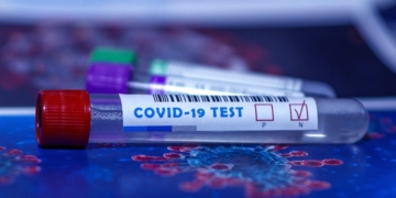Foto: Pixabay.
