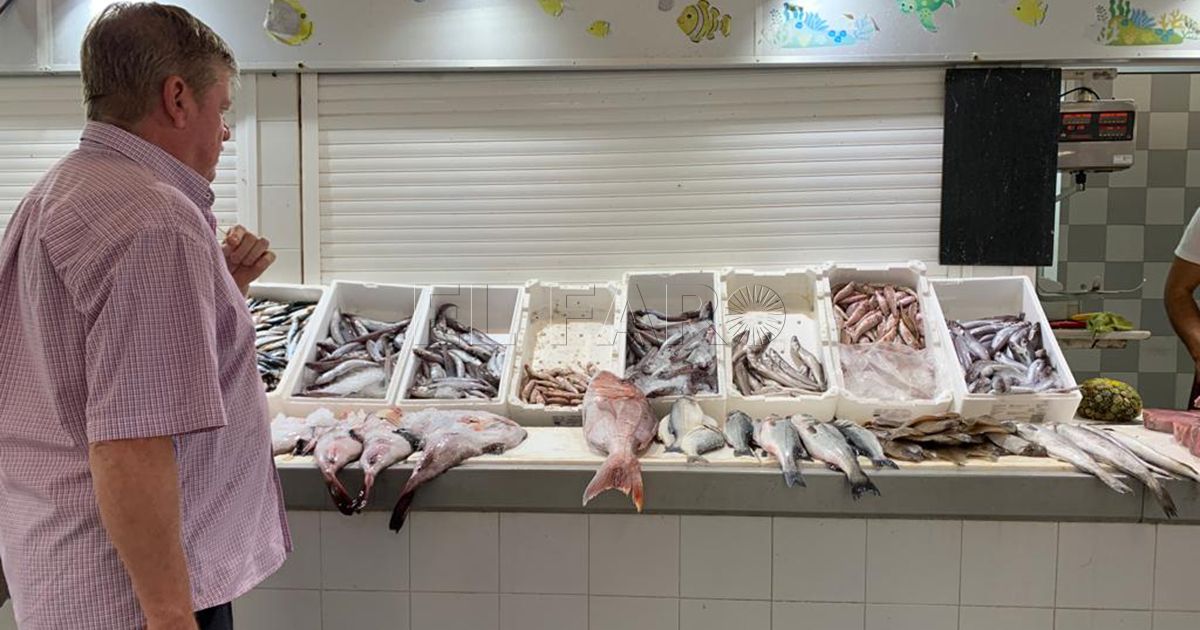 El precio del pescado ha subido casi el doble en Melilla y esto se nota en el mercado