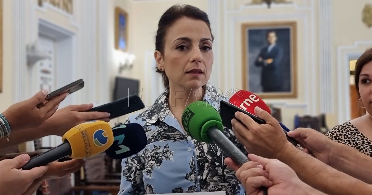 Almansouri cree que la aduana debió abrirse antes