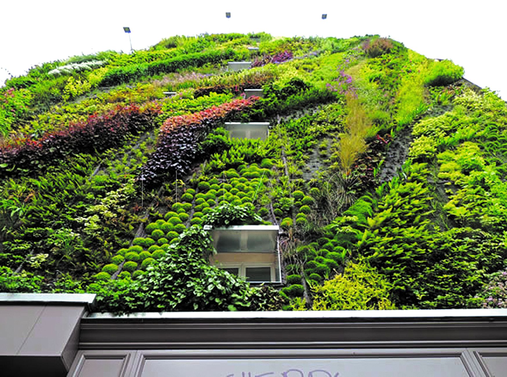 Diccionario para una pandemia. Tomo XXIV-IV