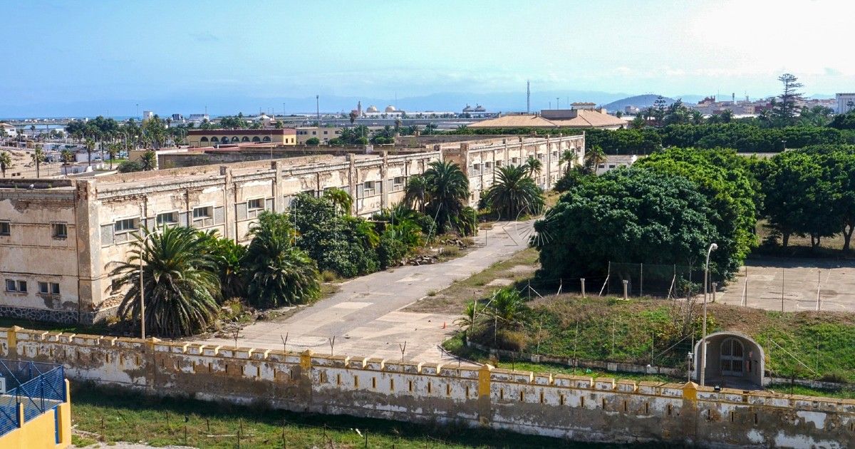 Podemos defiende que los árboles sean considerados seres vivos y no objetos ante la ley