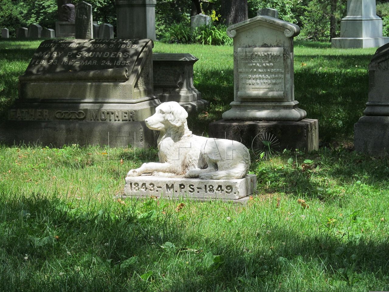El PP se compromete a crear un cementerio con crematorio para las mascotas