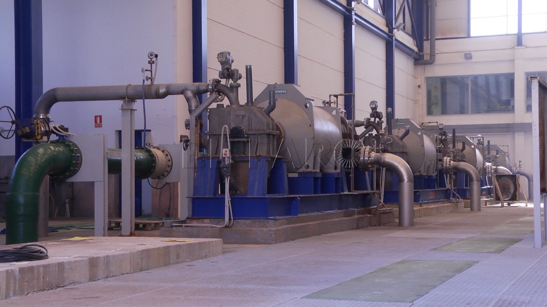 Rojas cree que Aberchán “está obsesionado conmigo y con la delegada”