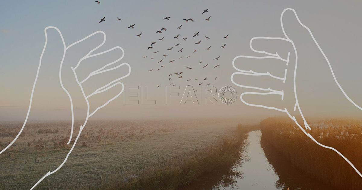 CaixaBank apoya al Club Ánfora a través de la 'Convocatoria de Medioambiente 2022'