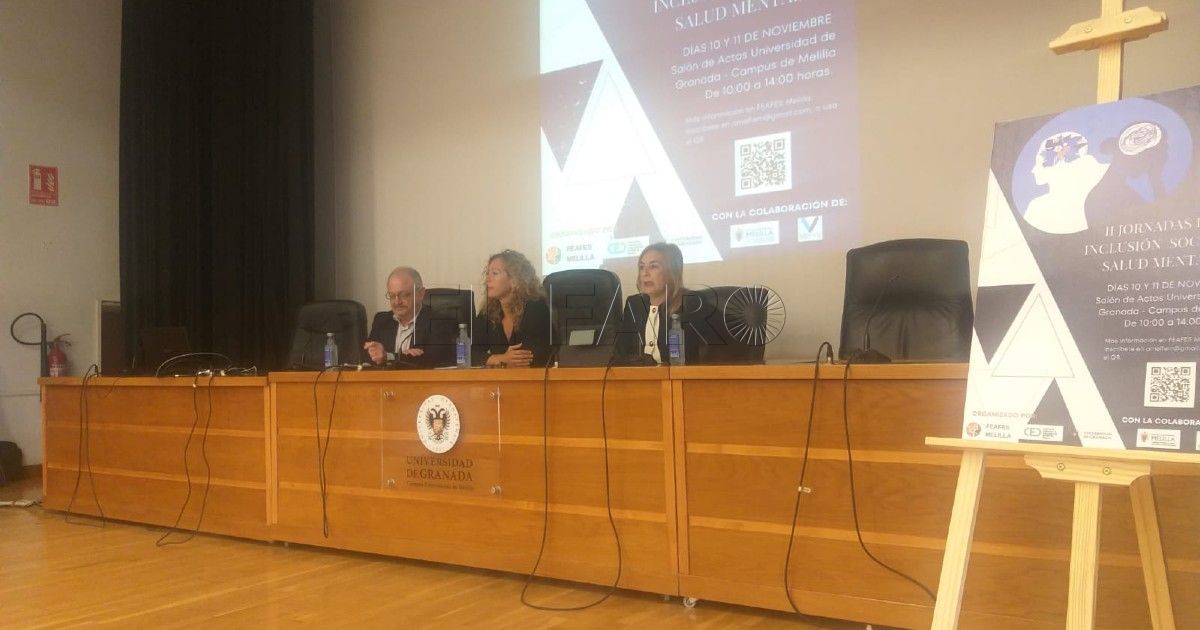 Maeso: "La prioridad es construir un piso tutelado" para pacientes con problemas de salud mental