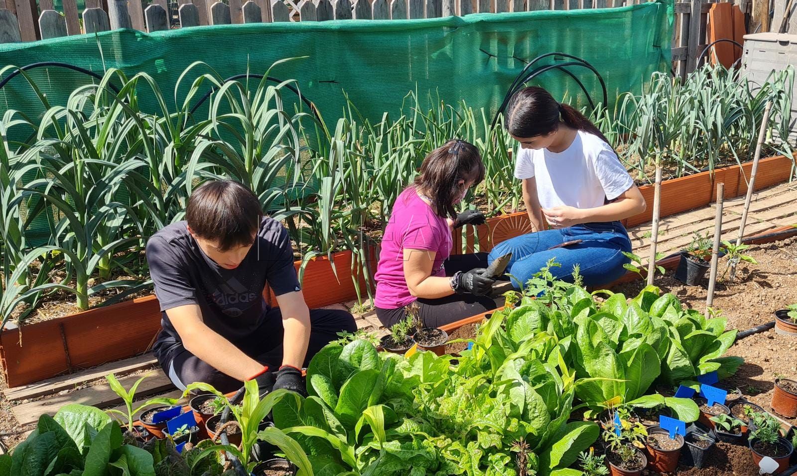 Las familias de Teama se sienten discriminadas ante el reparto de subvenciones de la Ciudad
