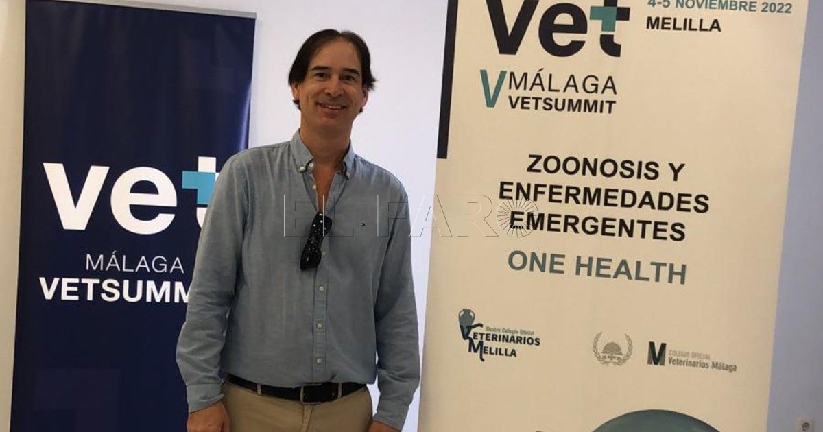 Juan Antonio de Luque: "Melilla tiene un serio problema de rabia procedente del país vecino"