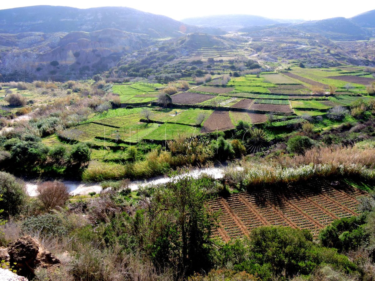 Río de Oro. El río de Melilla