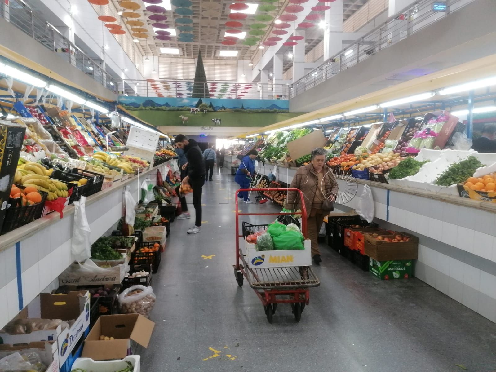 El precio del pescado sube un poco, pero se mantiene estable en carnes y verduras