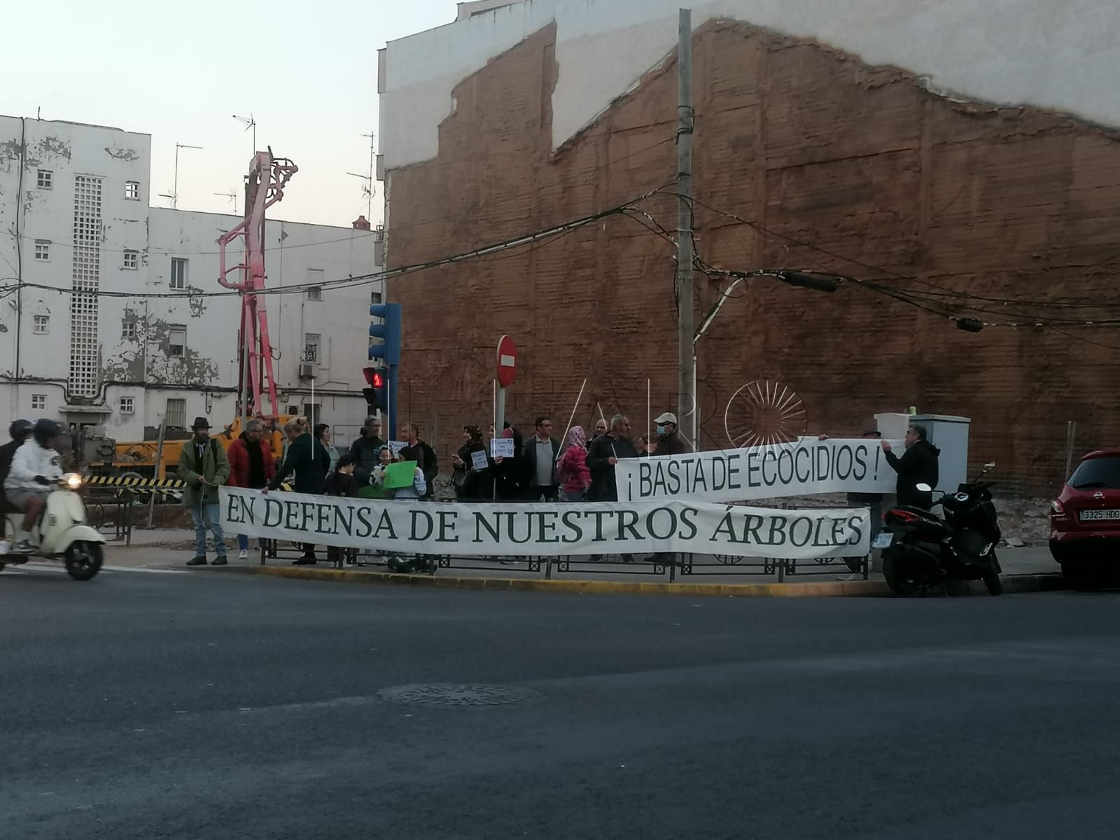 Denuncian la retirada de árboles en Conde de Alcaudete en favor de los nuevos edificios