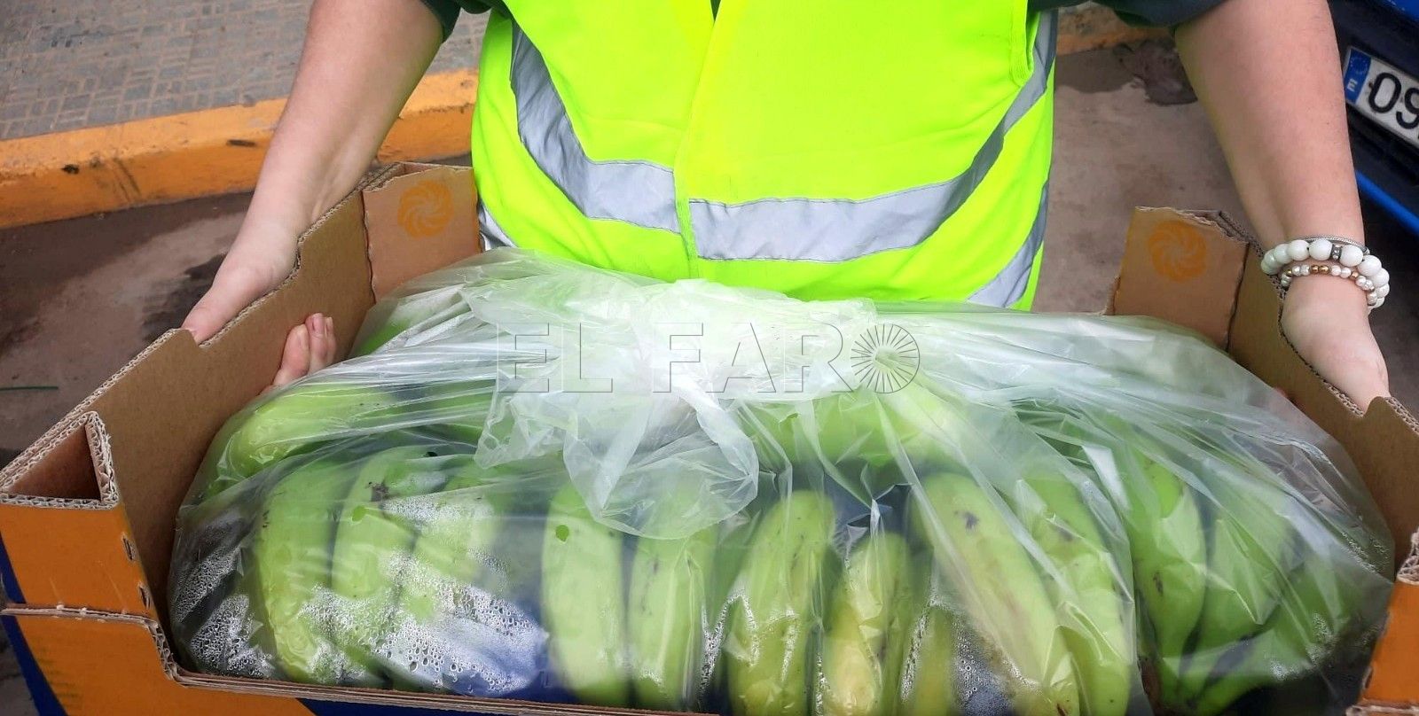 El Banco de Alimentos repartirá 20.000 kg de plátanos de canarias entre las familias más necesitadas