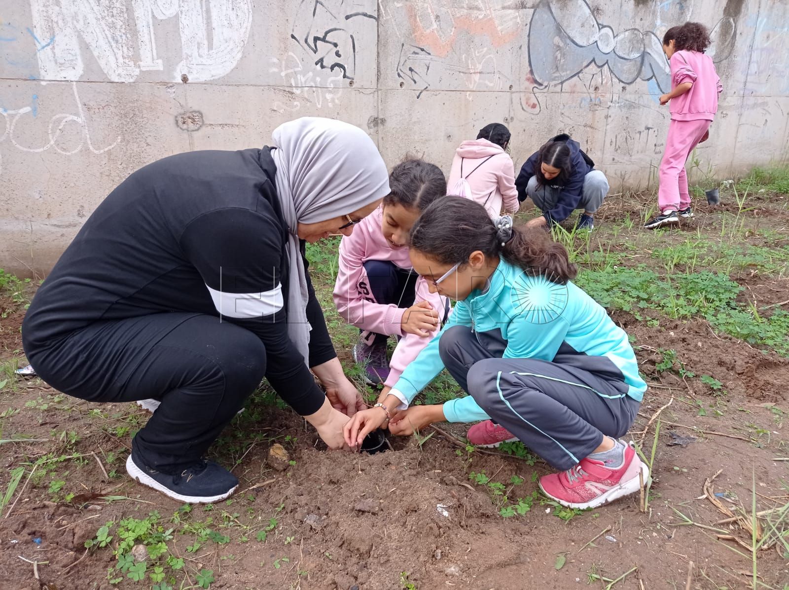 Gran éxito de la primera reforestación de Guelaya de esta temporada