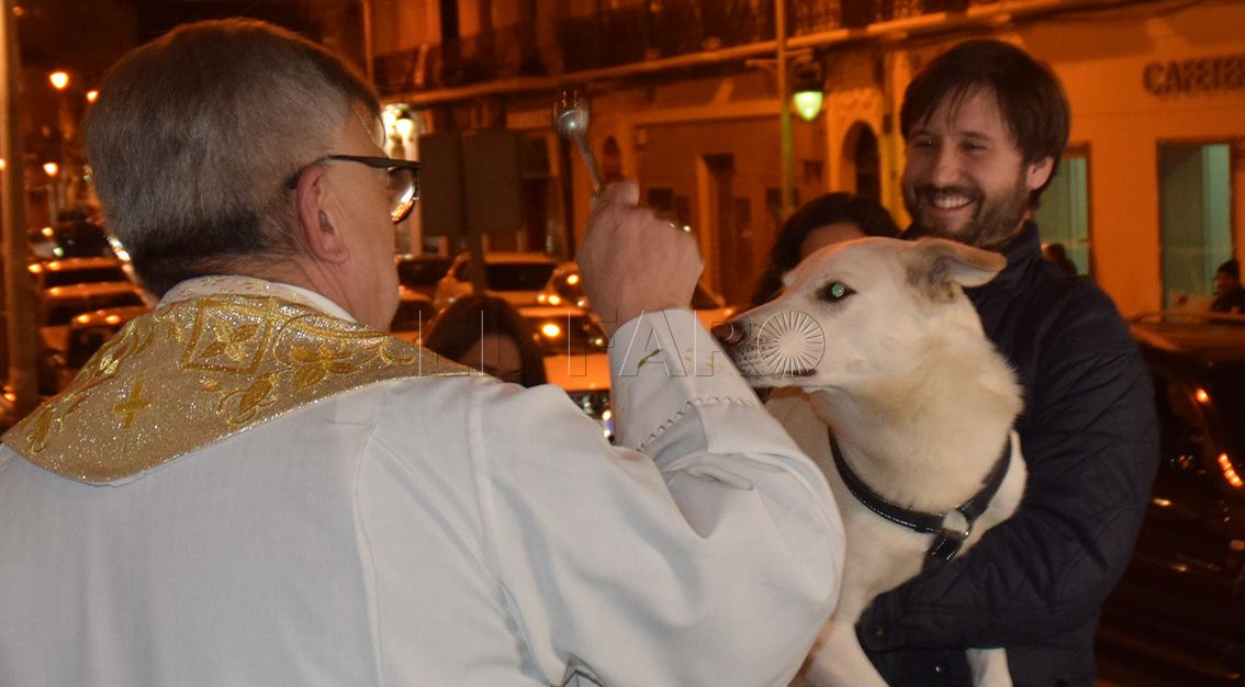 Bendición de animales en el Sagrado Corazón