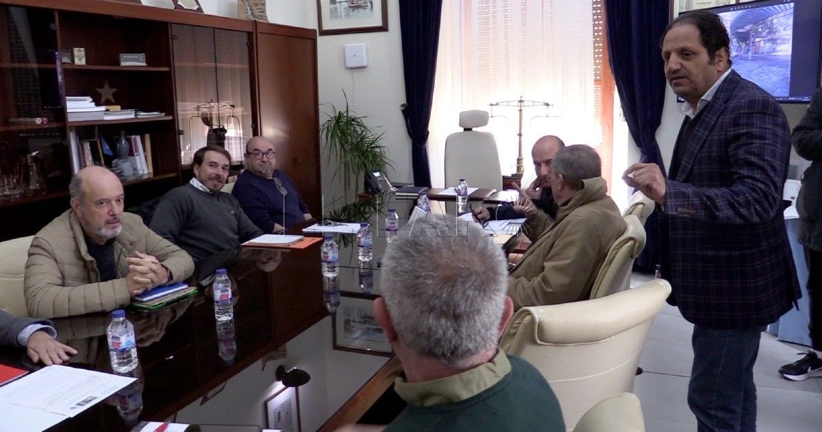 Las 22 peticiones que el Movimiento en Defensa del Arbolado hace a Hassan Mohatar