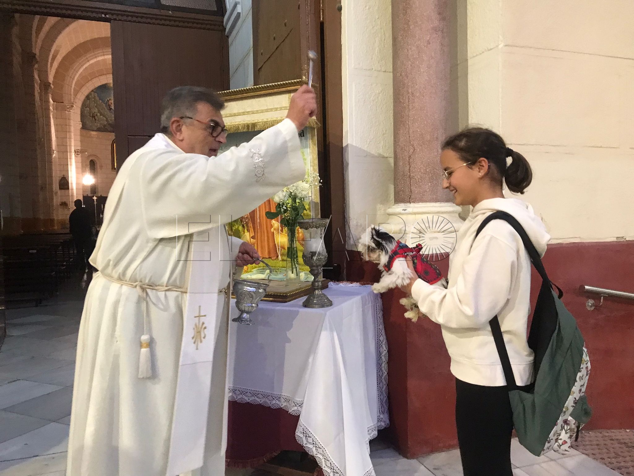 Más de 70 mascotas reciben la bendición de San Antón