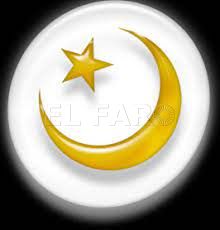 La pluralidad política, "precedentes institucionales"