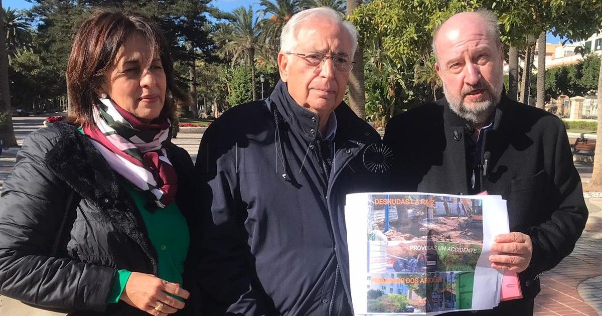 El PP asegura que el proyecto de Daoíz y Velarde sí llevaba la eliminación de árboles