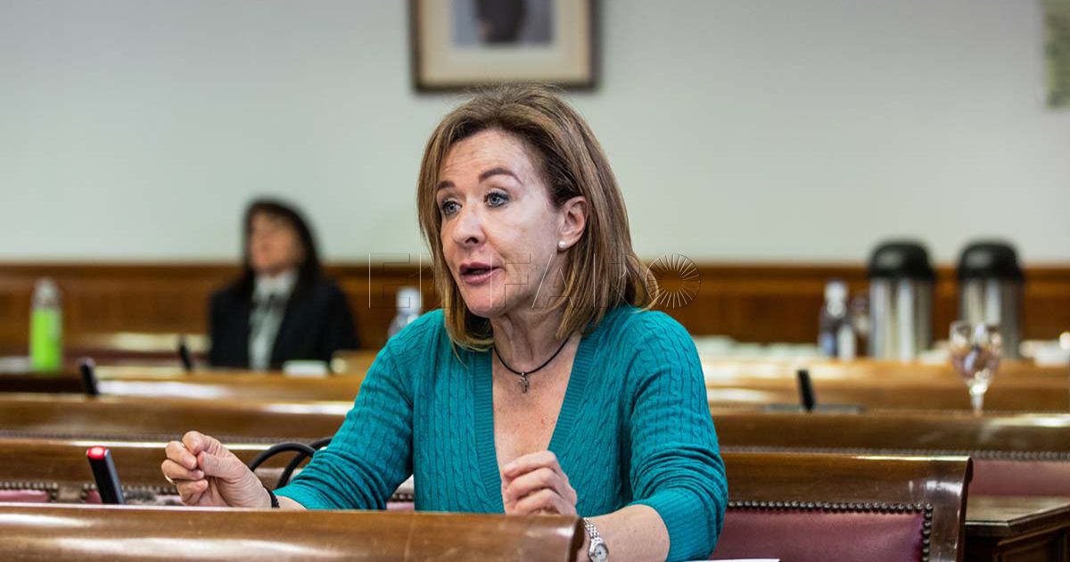 Vox recrimina al PSOE que los niños y adolescentes son los grandes olvidados en su gestión económica