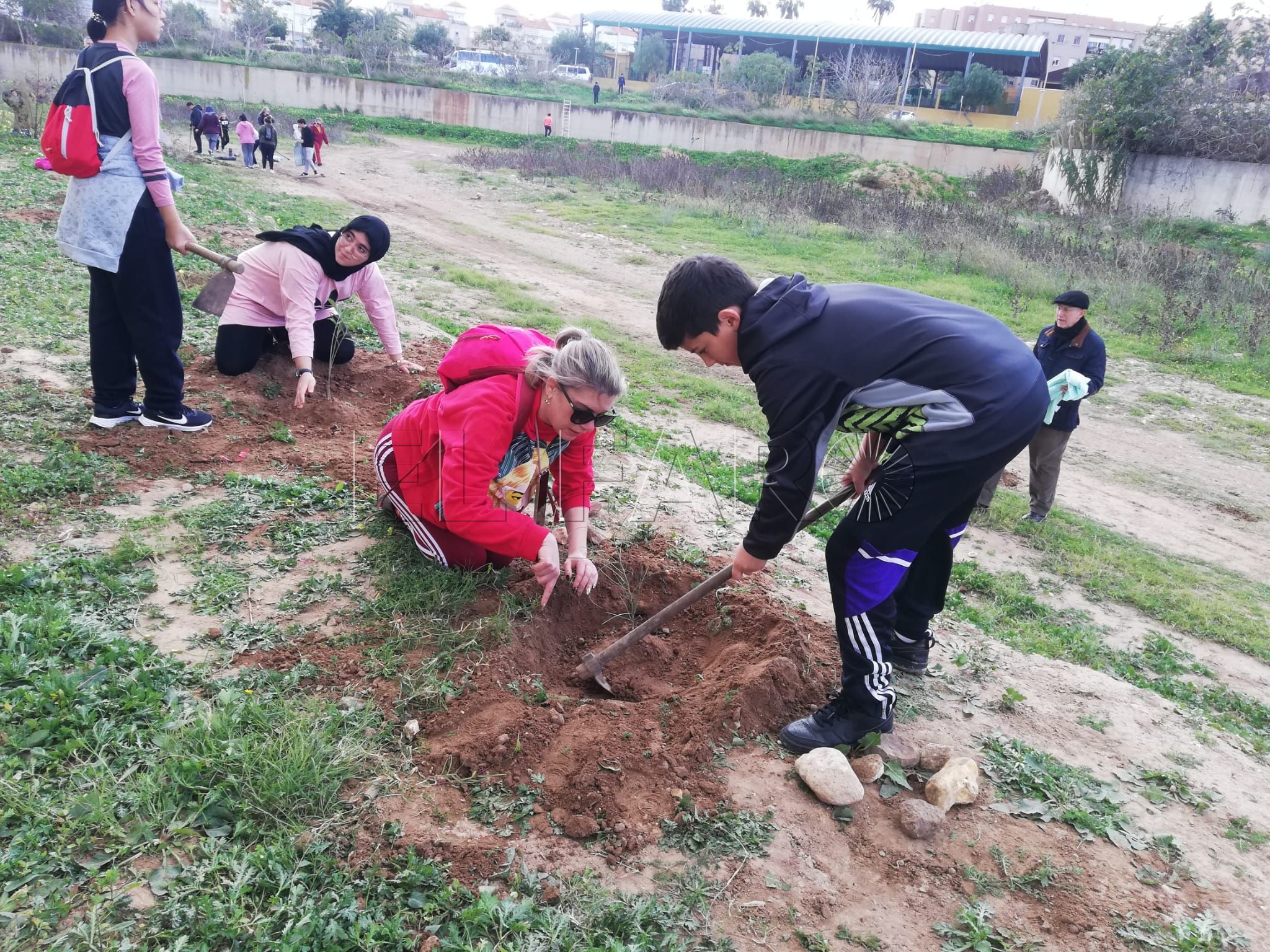 Guelaya continúa este sábado con la reforestación en el río de Oro
