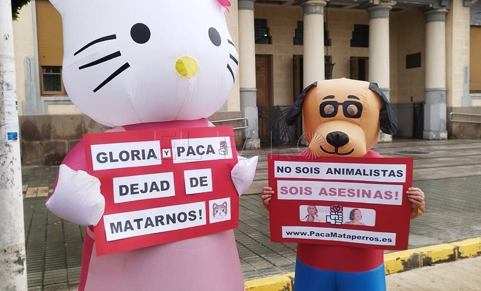 Fortalecer nuestras instituciones públicas