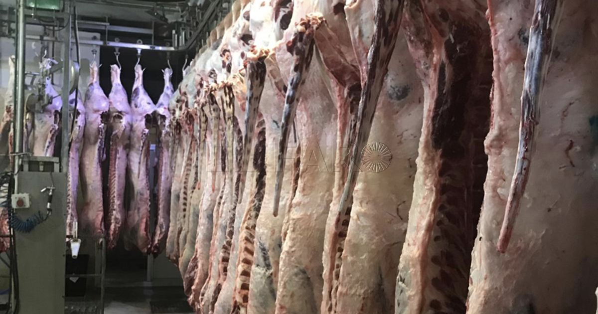 La Unión Sindical de Trabajadores de Melilla denuncia problemas estructurales en el matadero municipal