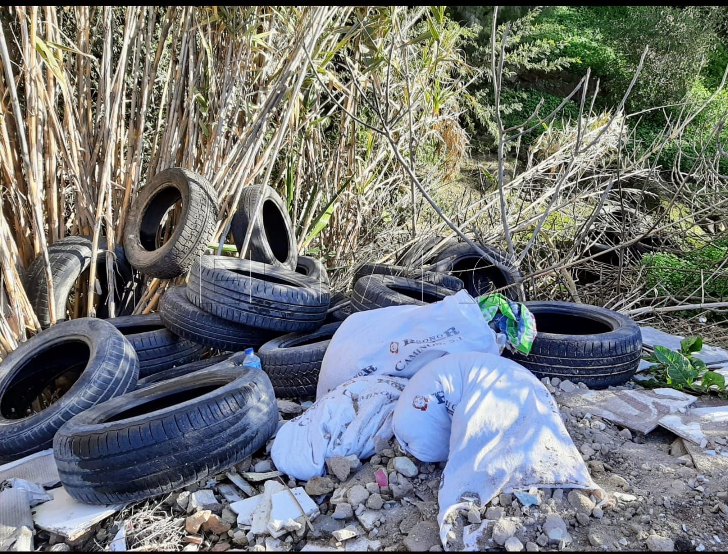 Melilla en Verde reclama a Transparencia el silencio de Medio Ambiente y Urbanismo sobre estadísticas de denuncias