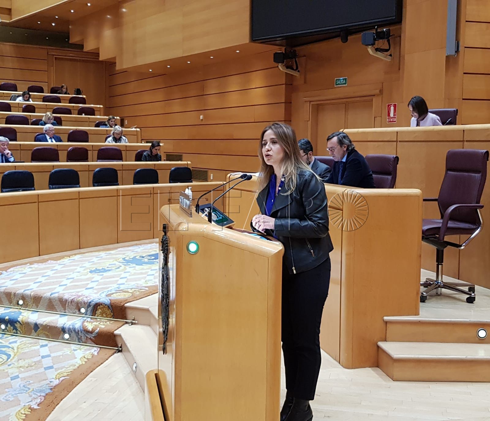 Aprobada la moción del PP sobre la aduana comercial con el voto en contra del PSOE