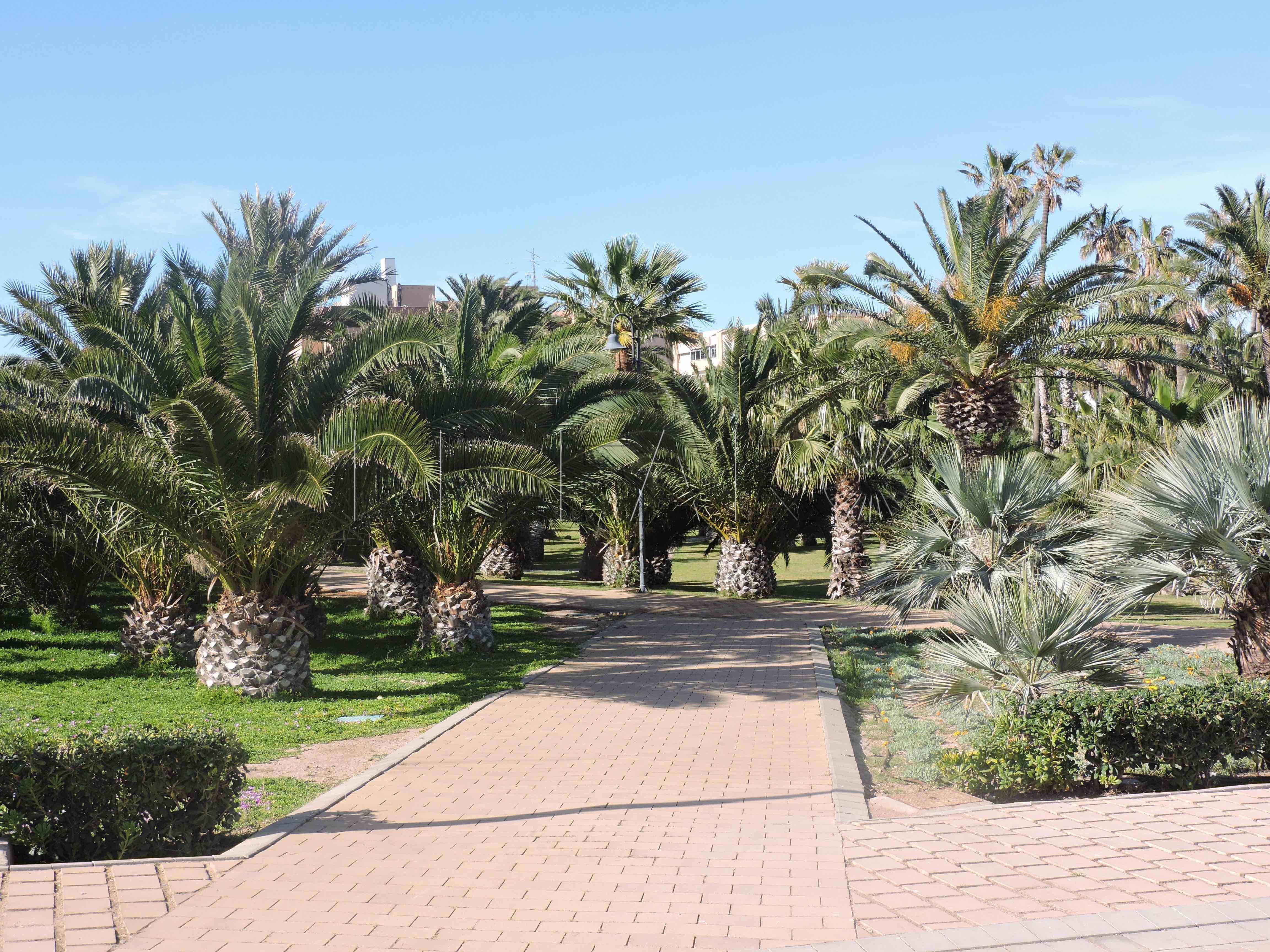 La Asamblea da luz verde al Reglamento de Infraestructura Verde