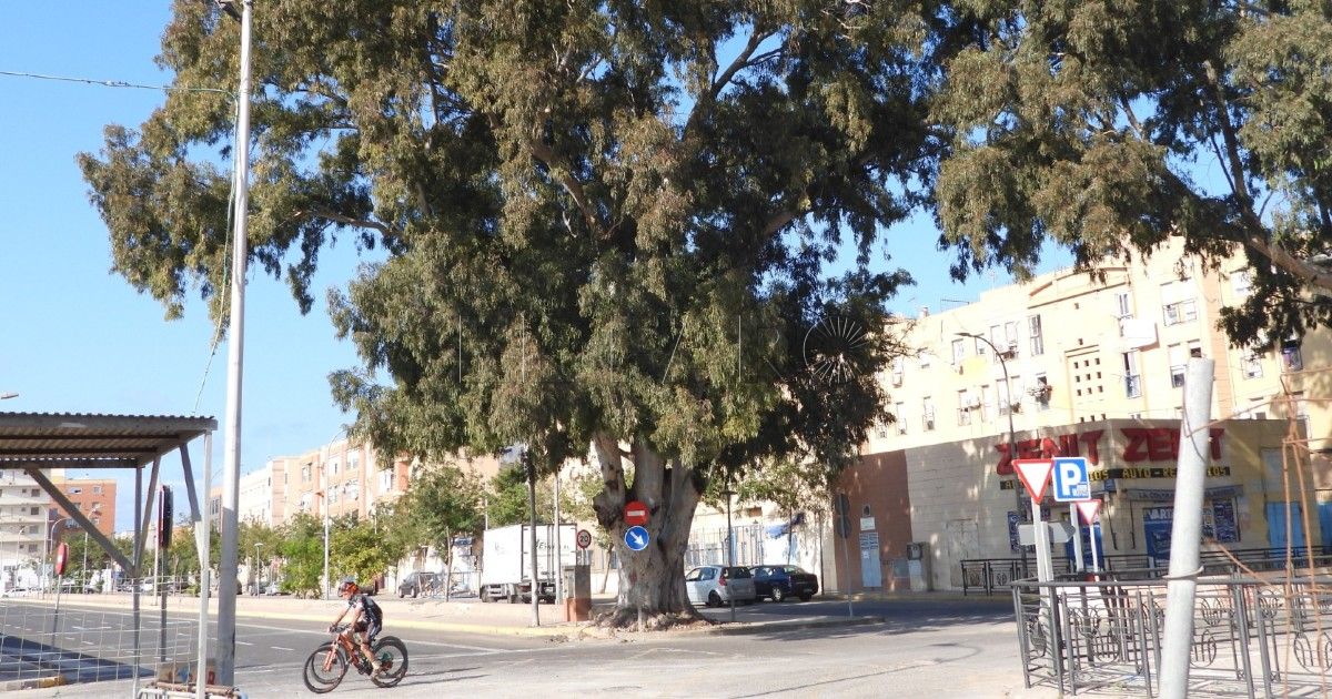 Ecologistas en Acción ha tramitado 1 caso de Melilla en los tribunales durante 2022