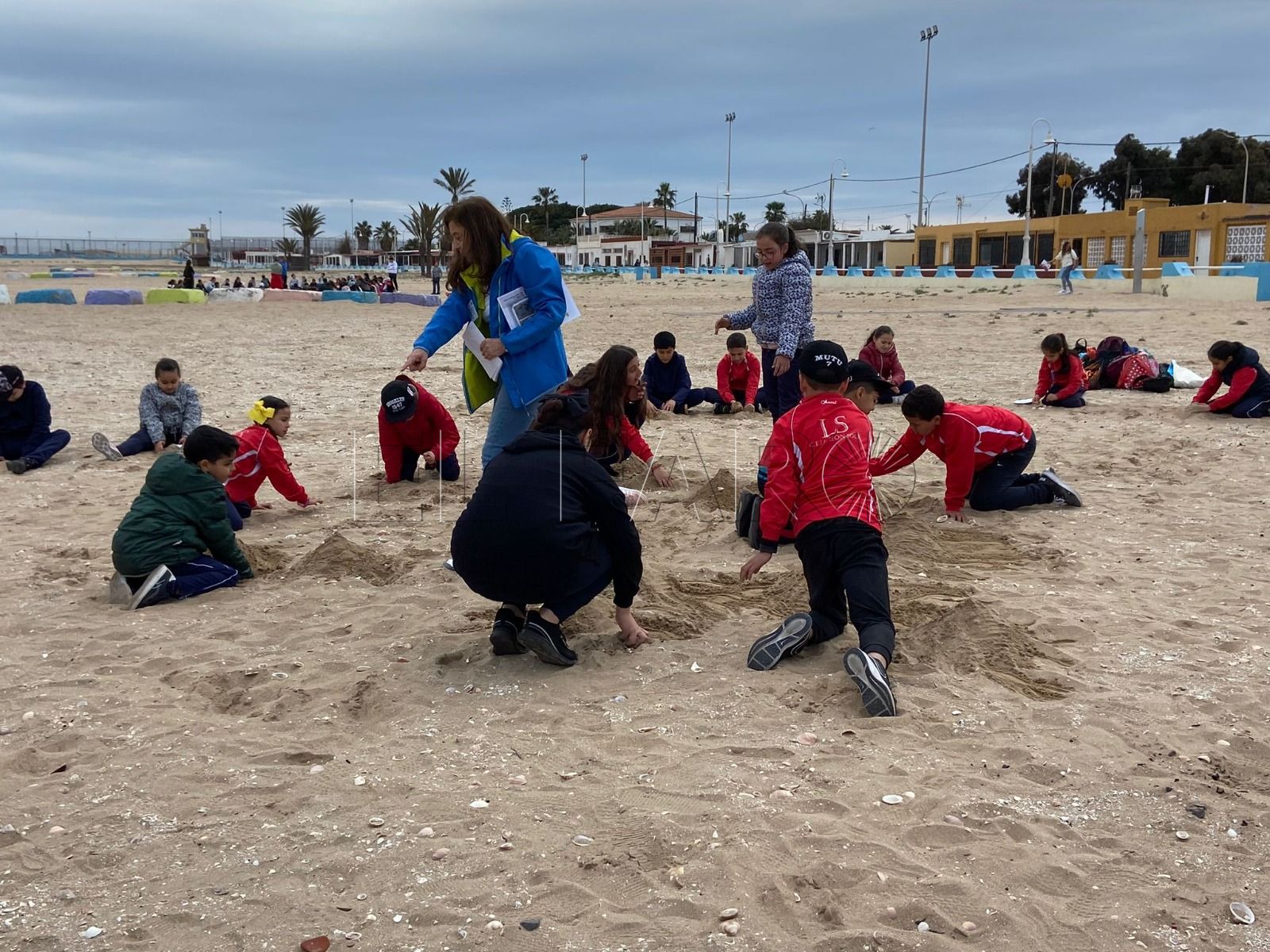 Colegios de Melilla participan en actividades del plan Red Natura 2000