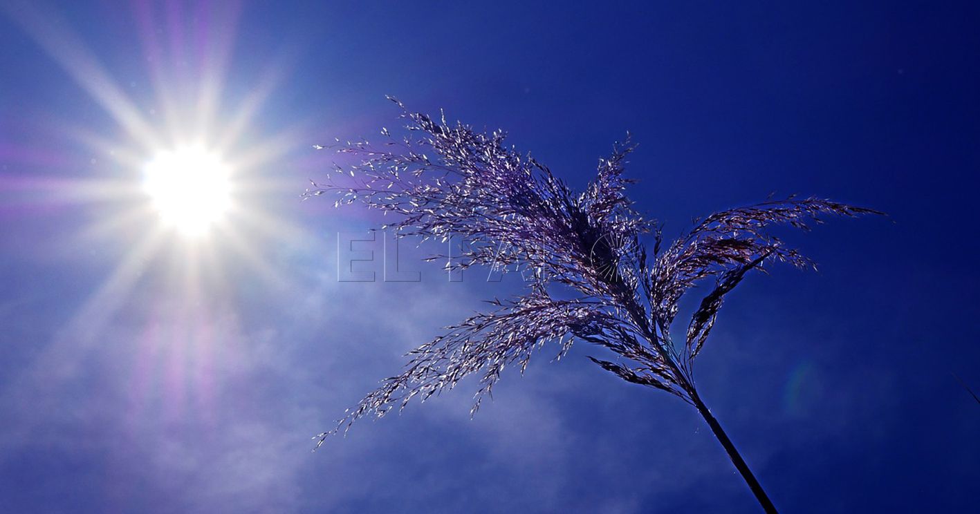 Melilla registra el cuarto invierno más cálido desde 1961