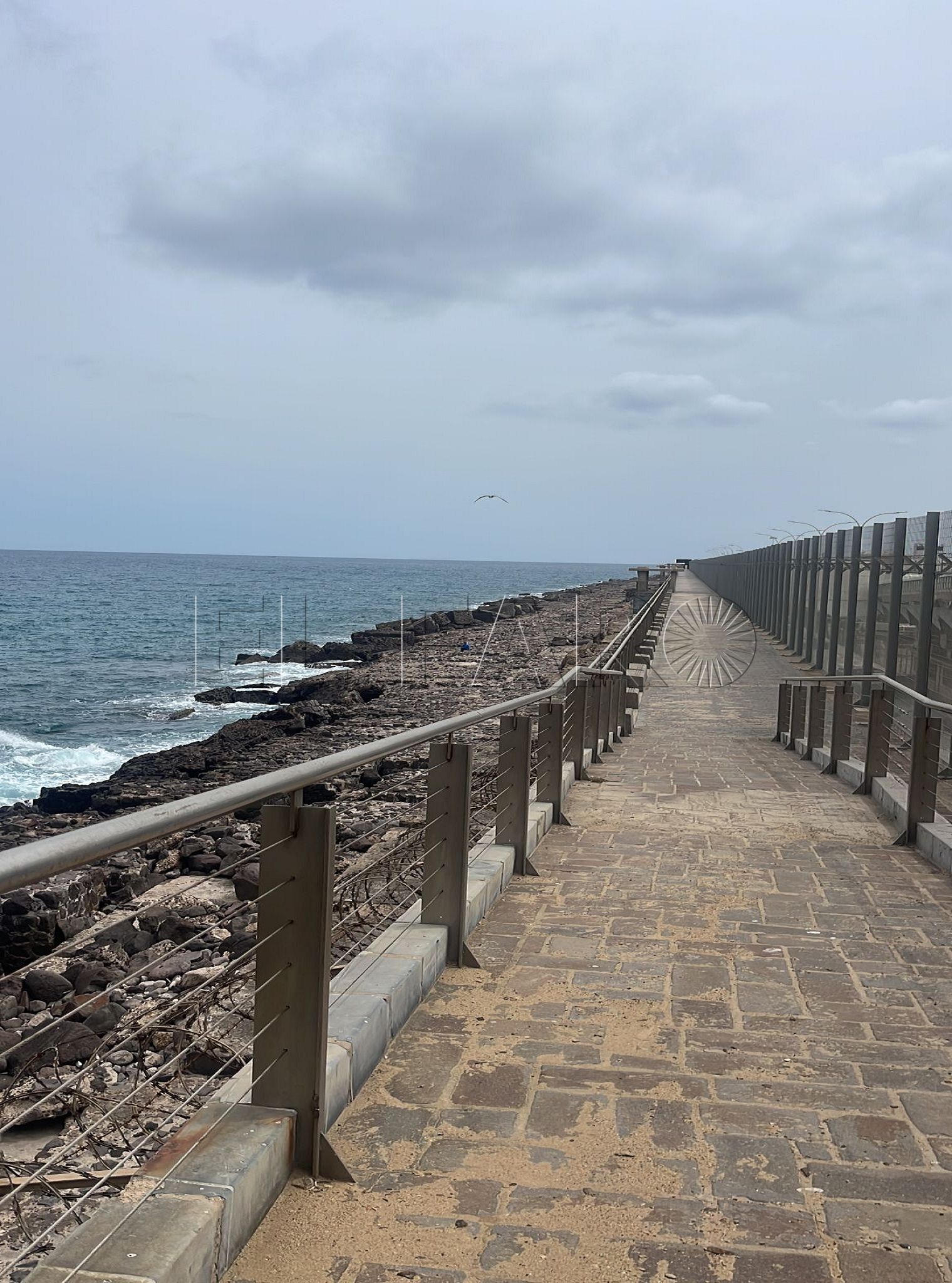 La Guardia Civil rescata a un joven que practicaba natación en aguas abiertas de la Ciudad