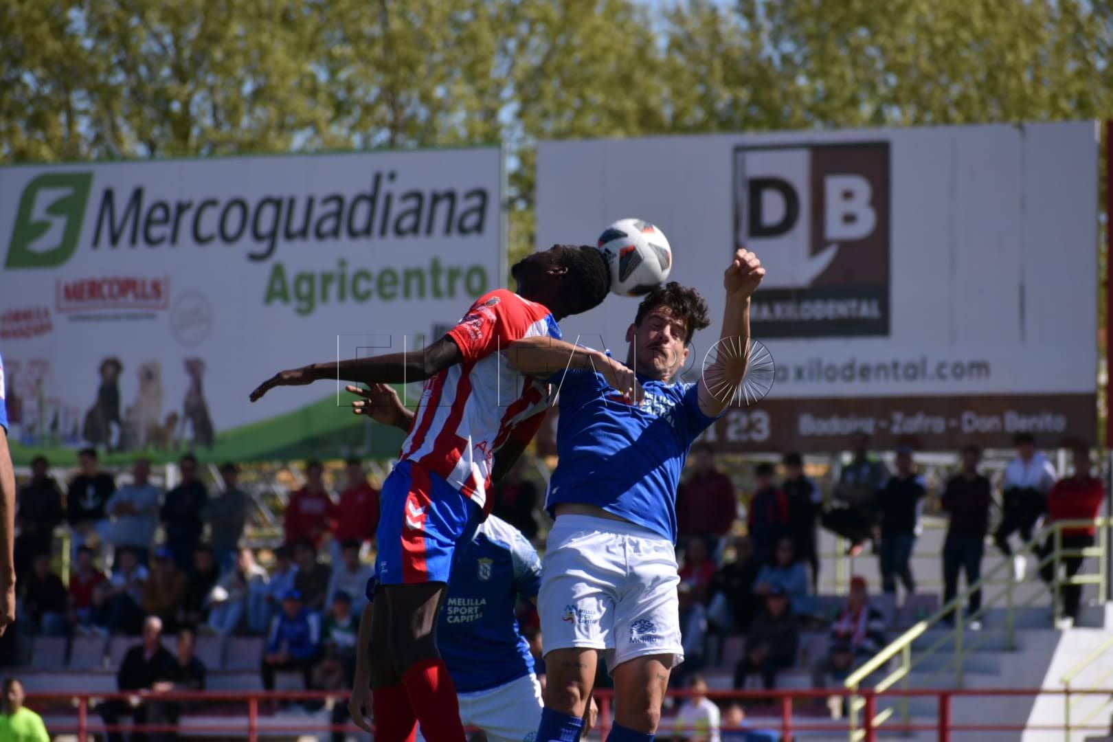Miguel Rivera, técnico del Melilla: “Hicimos uno de los encuentros más completos fuera de casa”