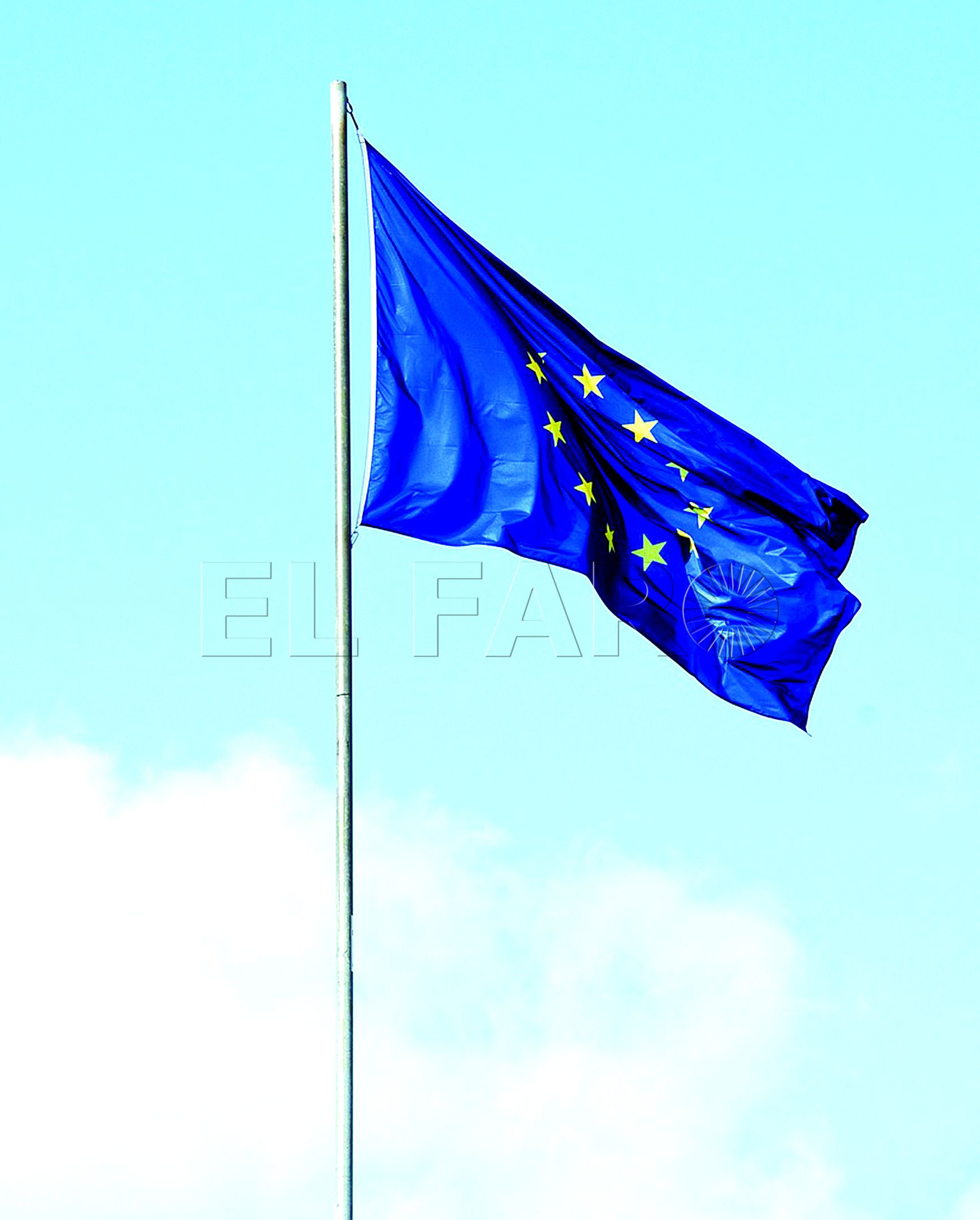 Unidos en la diversidad