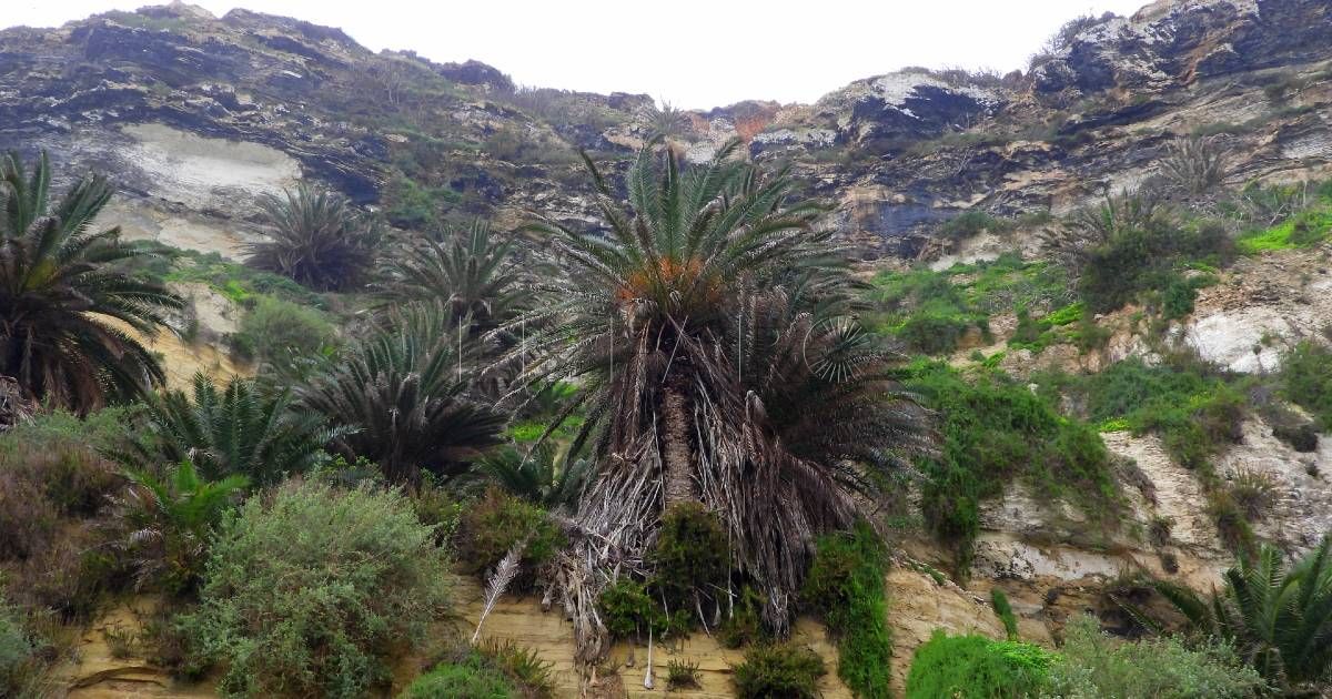 Barranco del Quemadero